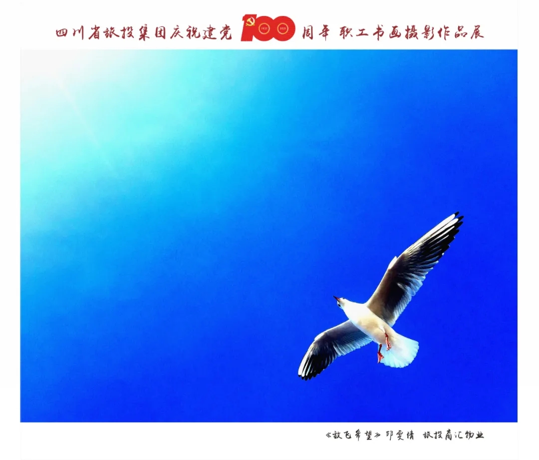 9.webp 9.webp